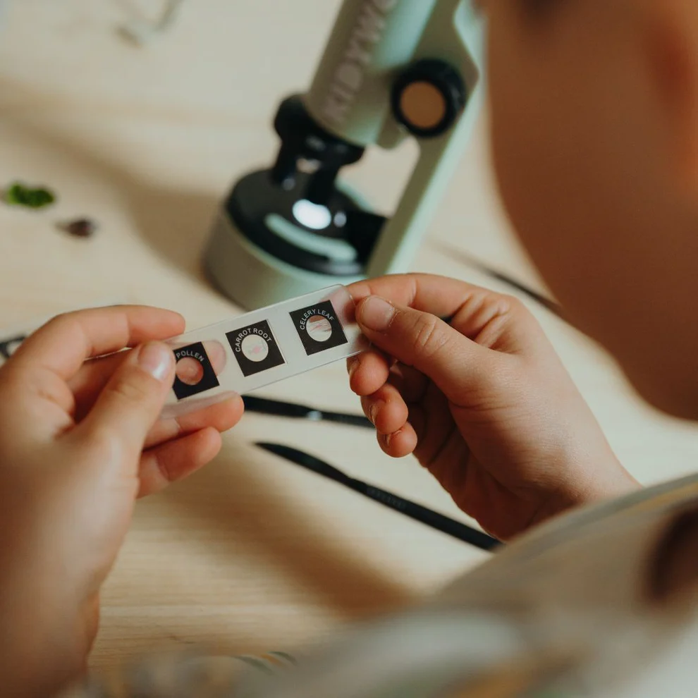 7_7ca4ae99-ec45-4ab1-8324-a97f99e9df45